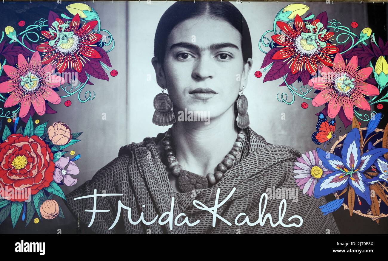Frida kahlo art hires stock photography and images Alamy